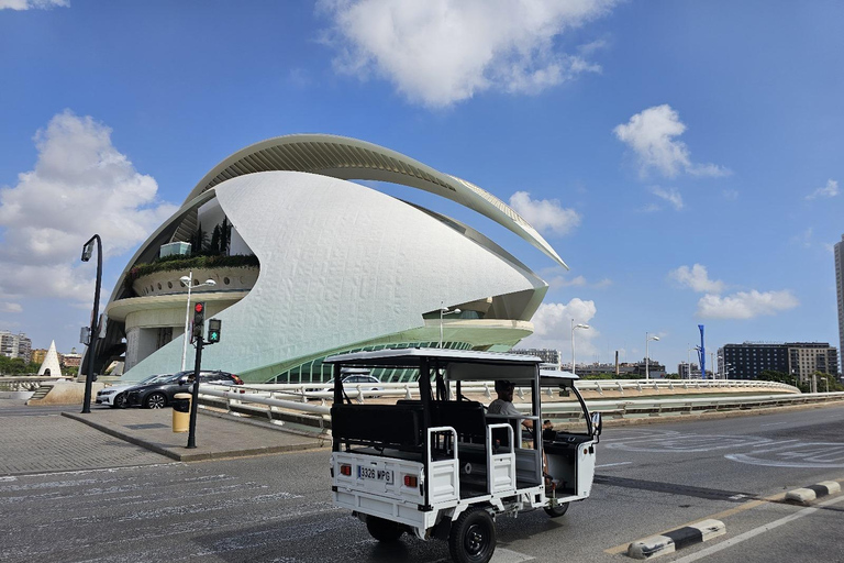 Valência: City Highlights Tour guiado na cidade por Tuk-Tuk