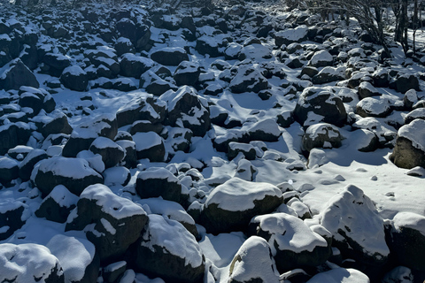 Randonnée au Hallasan sur l'île de Jeju, la plus haute montagne de Corée du SudJeju Hallasan ; randonnée pédestre des fleurs de neige avec déjeuner