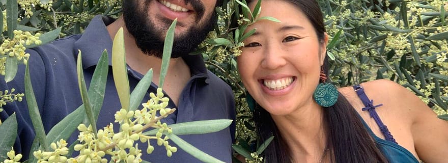 Visite à pied d'une oliveraie, visite culinaire des Pouilles et dégustation d'huile d'olive