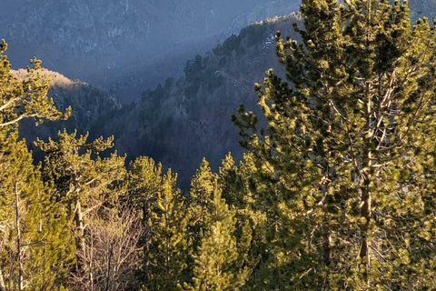 From Shkoder: Theth Full-Day-Tour, With lunch.