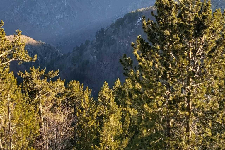 From Shkoder: Theth Full-Day-Tour, With lunch.