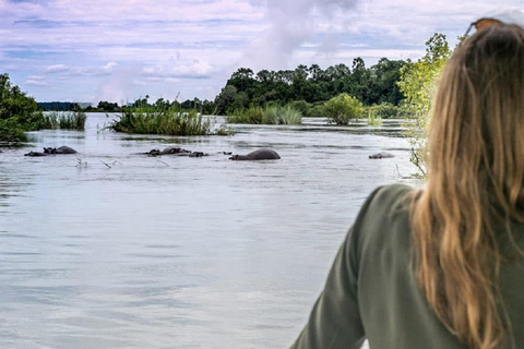 Victoria Falls: Zambezi River Ra-Ikane Cruise with Drinks