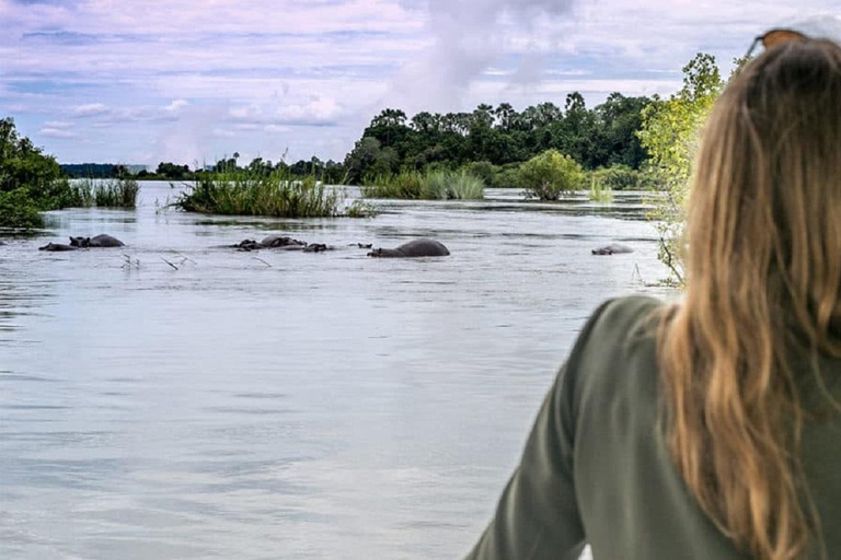 Victoria Falls: Zambezi River Ra-Ikane Cruise with Drinks