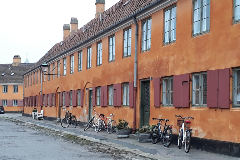 Copenhague: Tour privado de 3 horas - Siente el espíritu de la bici