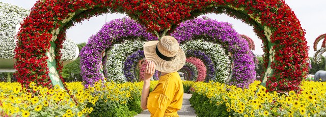 Visit Dubai Miracle Garden Entry Ticket with Hotel Transfer in Dubai