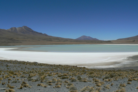 1D Laguna Colorada Private Tour from Uyuni