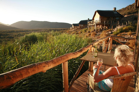 Cape Town: Aquila Big Five Safari with Private Transfers Sunset Safari