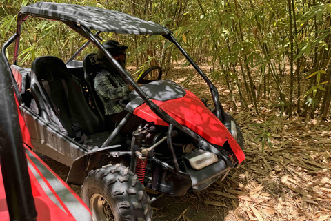 Bamboo Dune Buggy Tour