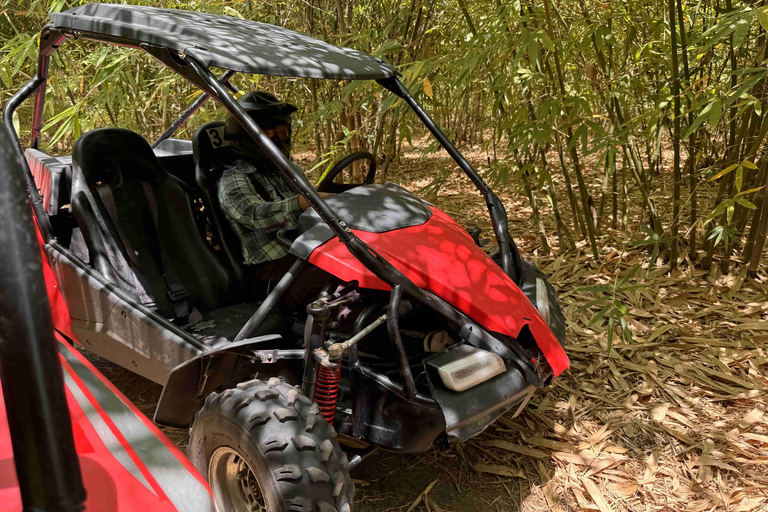 Bamboo Dune Buggy Tour