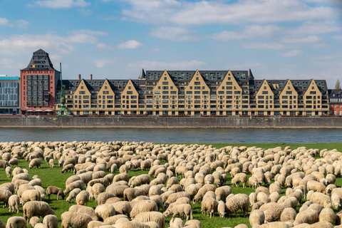 Kölns höjdpunkter Privat vandringstur &amp; PanoramabåtKölns höjdpunkter Privat stadsvandring &amp; panoramabåttur