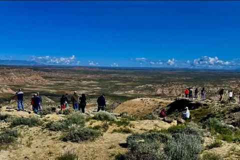 Cody: Wild Mustang Small Group Eco Tour