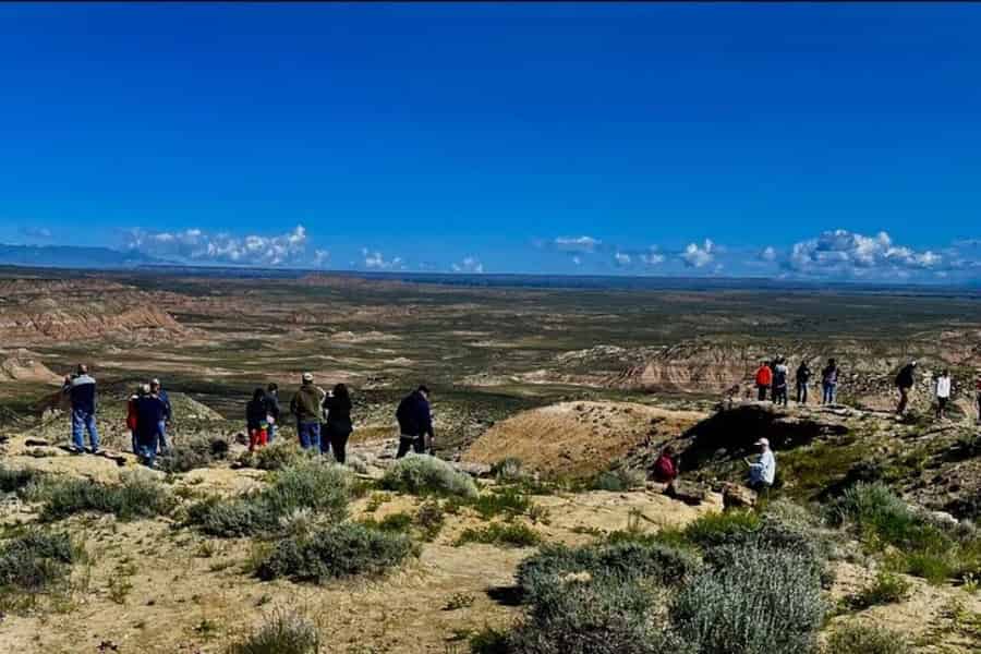 Cody: Wild Mustang Kleingruppentour Eco Tour. Foto: GetYourGuide