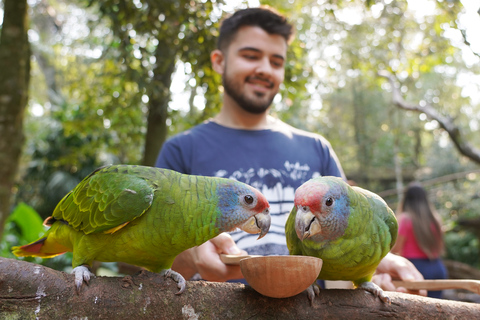 Foz do Iguaçu: tour guidato alle cascate di Iguazu