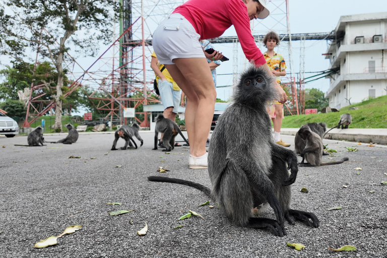 From Kuala Lumpur: Batu Caves, Eagle & Fireflies Exploration Private Tour