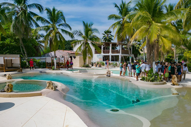 Cartagena: Palmarito Beachclub with Pool, Kayak and paddle! Cartagena: Palmarito Beachclub in Tierra Bomba with Buffet