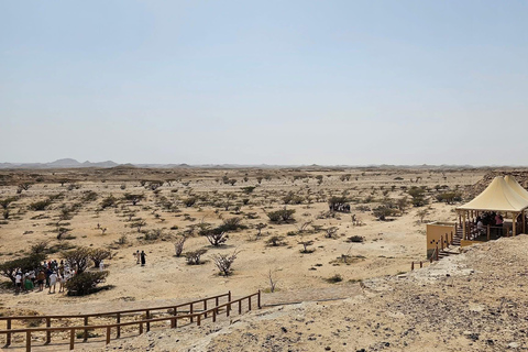 Salalah: Empty Quarter Desert Adventure to Hashman Dunes