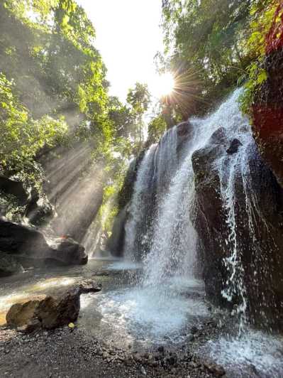 Bali : Dagtrip naar Besakih Tempel & 2 Verborgen Watervallen