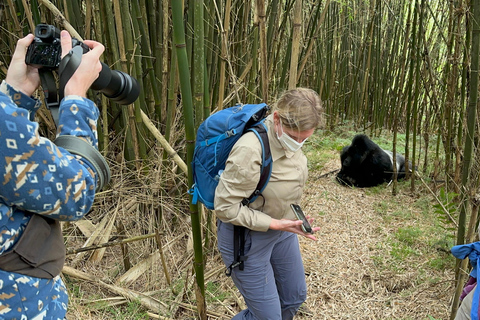 3-daagse gorillatrektocht Mgahinga Gorilla NP Oeganda via Rwanda