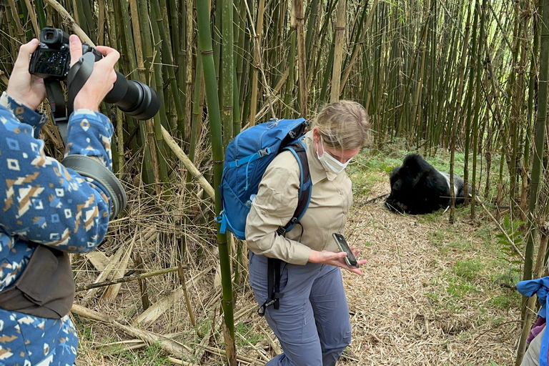 3-Day Gorilla Trek Mgahinga Gorilla NP Uganda via Rwanda