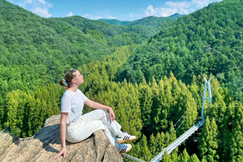 Seoul: Jangtaesan, Starfield Library, & Suwon Day Trip