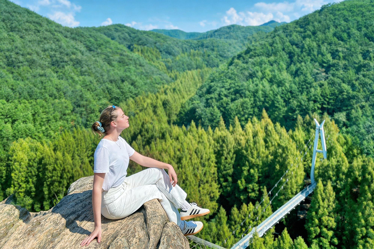 Seoul: Jangtaesan, Starfield Library, & Suwon Day Trip