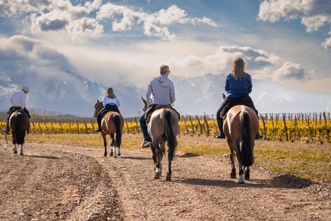 Sedona: Vineyard & Canyon Horseback Experience