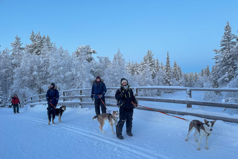 Äkäslompolo: Husky Trail Walk, Walk 1:1 with Your Own Husky Meet at the meeting point in Äkäslompolo
