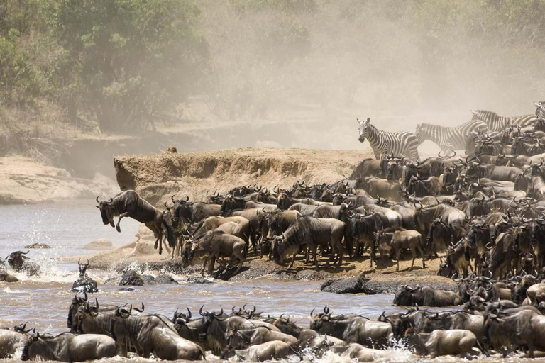 Private Safari mit Übernachtung in der Masai MaraPrivate Safari mit Übernachtung in der Masai Mara Luxusunterkunft