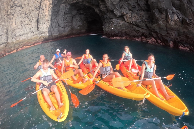 Tenerife : Kayak avec masque et tuba, découvrez les tortues et les poissons.Tenerife : Kayak et plongée en apnée avec tortugas et delfines
