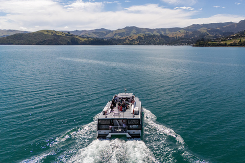 From Christchurch: Akaroa Private Day Trip & Nature Cruise