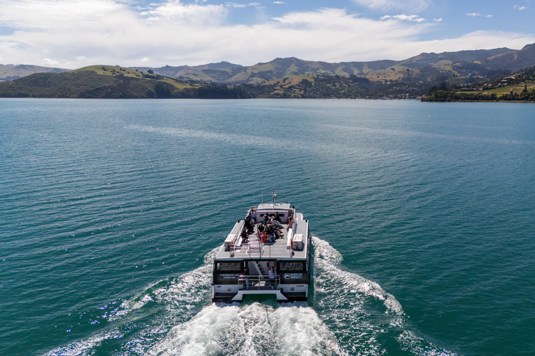 From Christchurch: Akaroa Private Day Trip & Nature Cruise