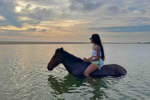 From Huatulco: Beach Horseback Riding Experience Regular Beach Horseback Riding Tour (2 hours)