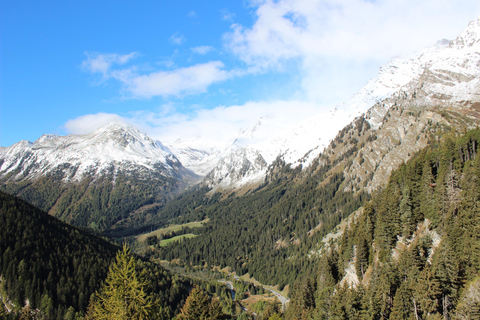 Swiss Alps by Train: Bernina & St. Moritz from Milan Tour with Standard Carriage