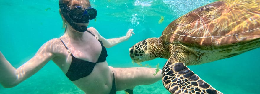 Excursion de plongée avec masque et tuba à Hikkaduwa : 2 heures d'aventure sous-marine
