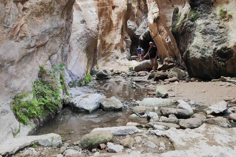 Paphos: Half-Day Private 4x4 Jeep Safari to Akamas