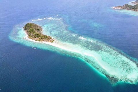 Palawan: Experiencia de buceo con mantarrayas en Sibaltan, El Nido.