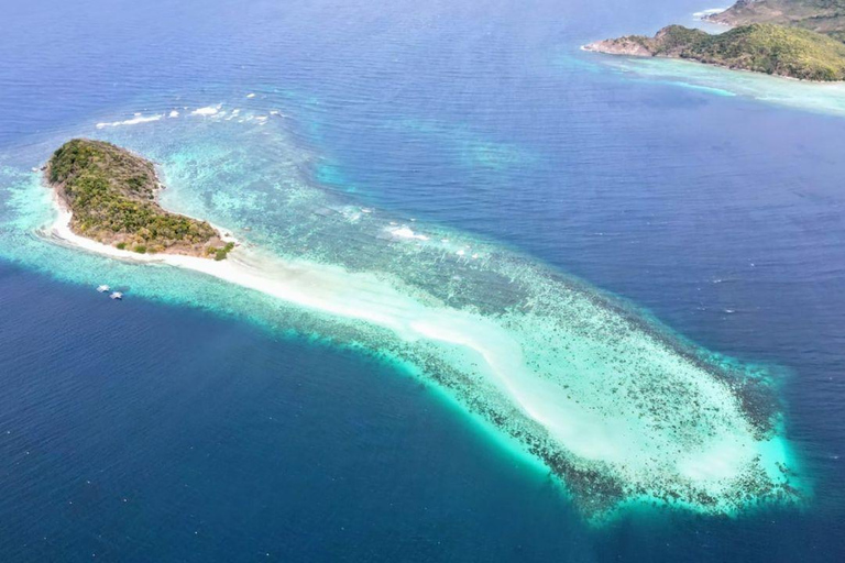 Palawan: Experiencia de buceo con mantarrayas en Sibaltan, El Nido.