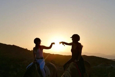 Fethiye Horse Safari Tour, Forest and Hisaronu View