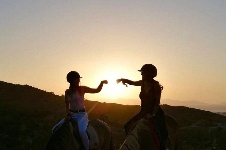 Fethiye Horse Safari Tour, Forest and Hisaronu View