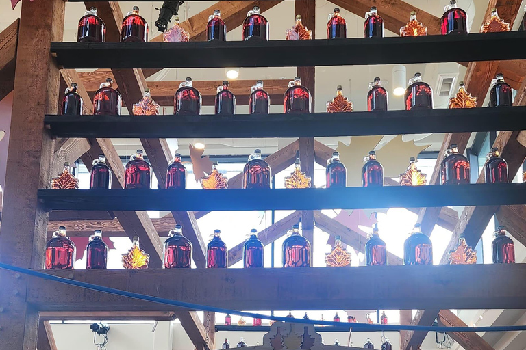 Toronto: Niagara Falls & Niagara-on-the-Lake Luxury Day Tour Toronto: Niagara Falls Day Tour with Hornblower Boat Cruise!