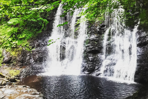 Tour guiado particular em Antrim Glens e Causeway Coast