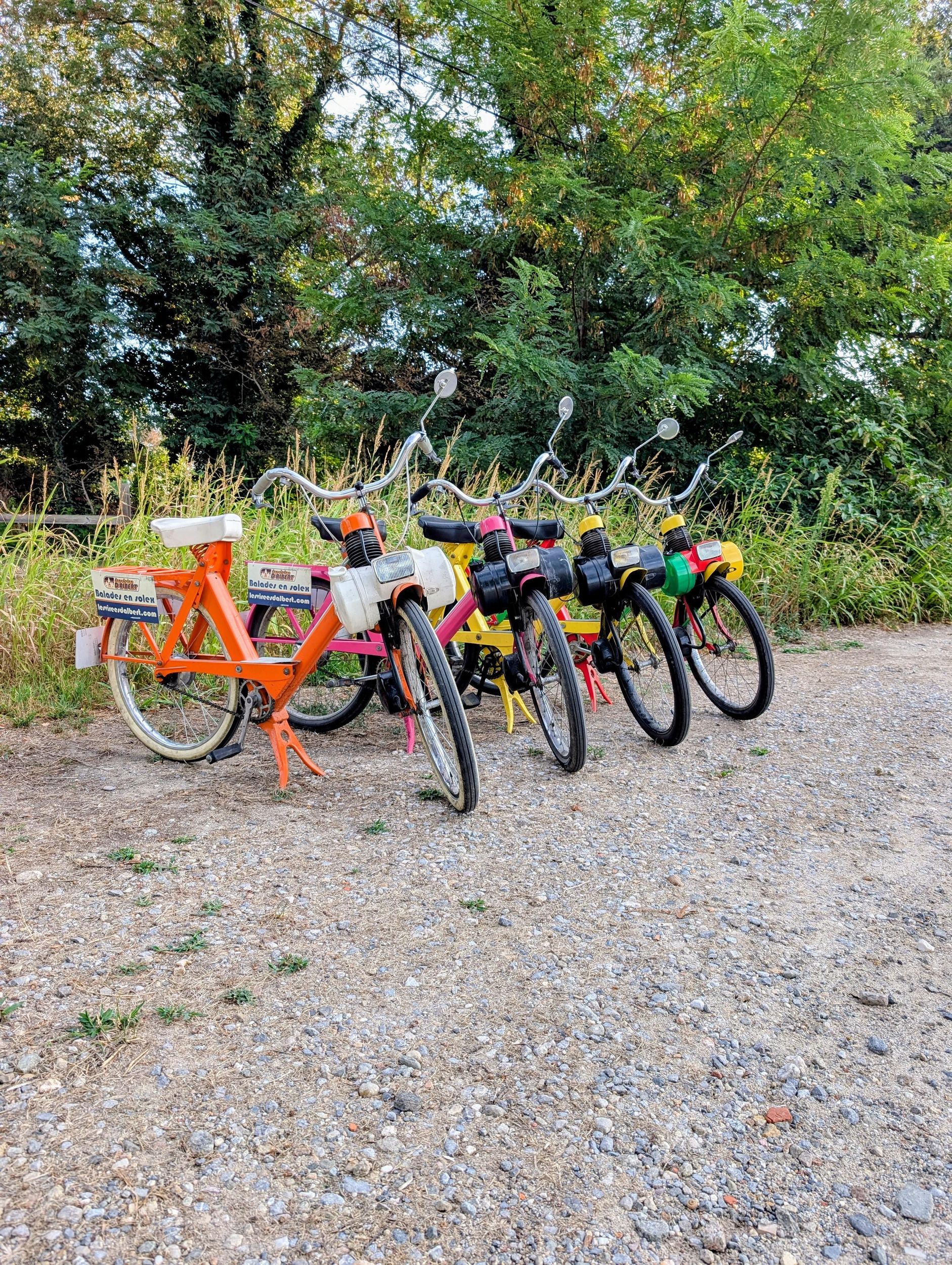 Argelès-sur-Mer: geführte Tour mit dem Solex mit Weinprobe