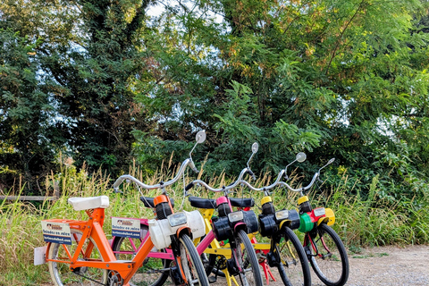 Argelès-sur-Mer: Guided Solex Ride with Wine Tasting