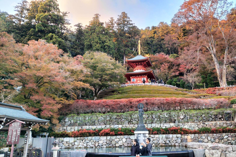 Osaka : Visite guidée du temple Katsuo-ji (Feuilles d&#039;automne)