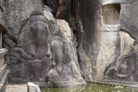 Anuradhapura e Aukana: Tour privato di un giorno da Habarana