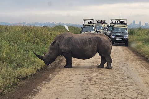 Nairobi National Park Half-Day Guided Tour: The Big Five