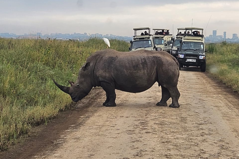 4 des Big Five Parc national de Nairobi Visite guidée d&#039;une demi-journéeConduite partagée pour le gibier