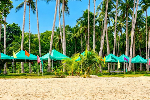 Puerto Princesa: Pakpak lauin Beach Resort Day Tour w/ Lunch