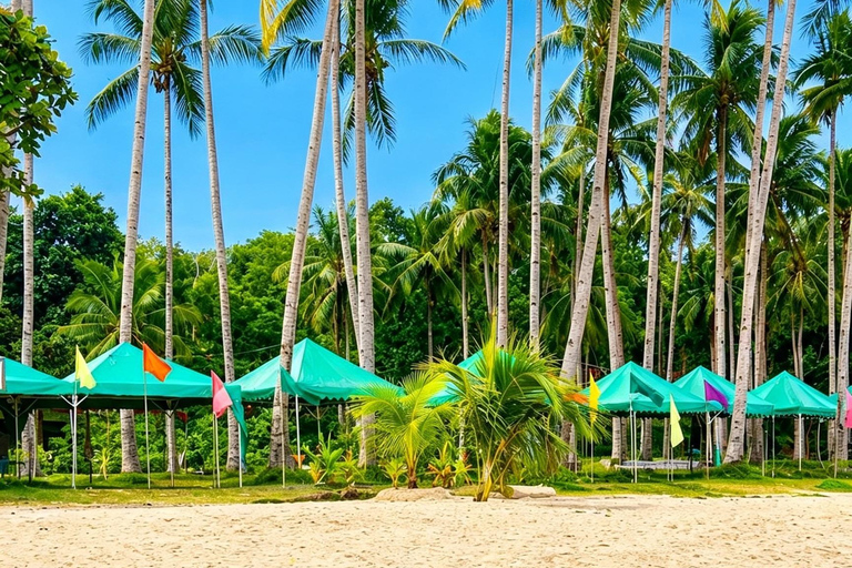 Puerto Princesa: Pakpak lauin Beach Resort Day Tour w/ Lunch