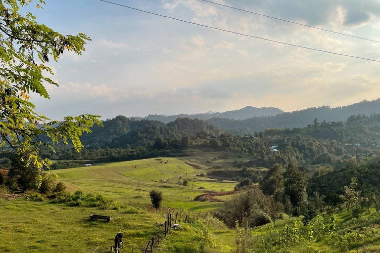 From Baku: Sim Waterfall & Ballıgaya Hiking Tour